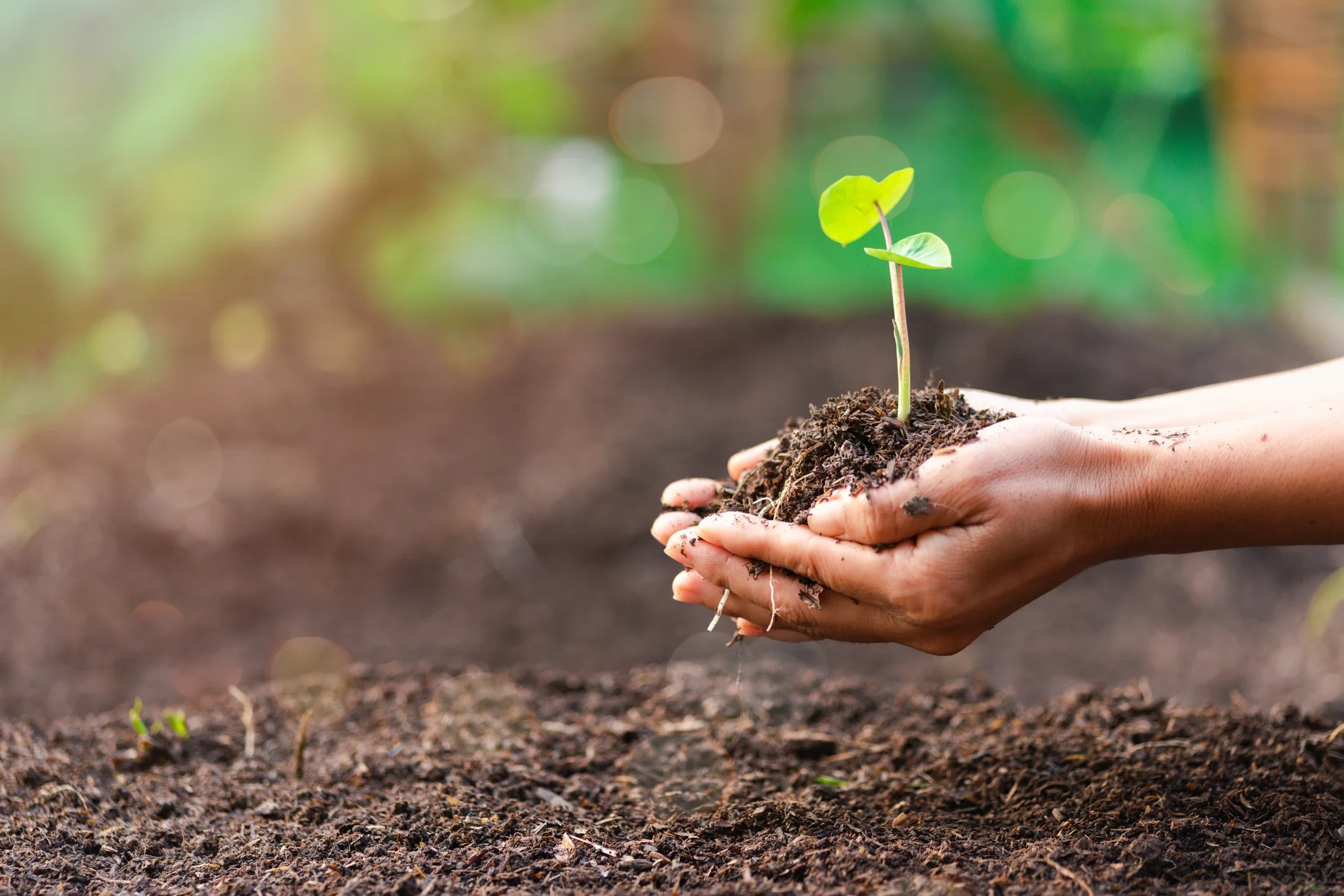 ISO 14001 Çevre Yönetim Sistemi