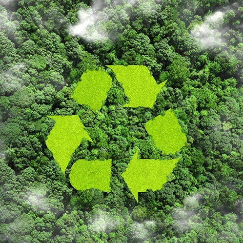 ISO 14001 Çevre Yönetim Sistemi